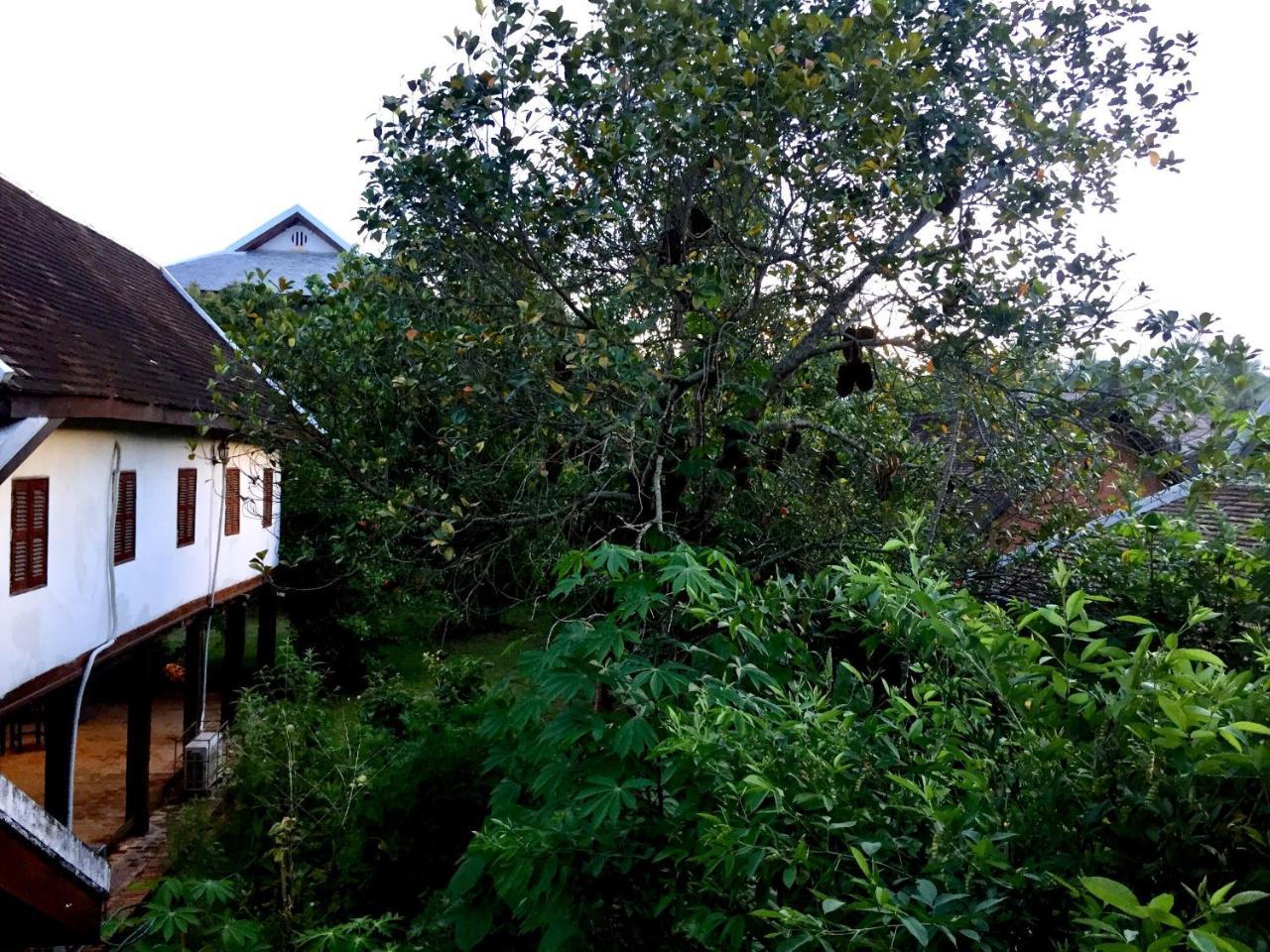 לואנג פרבאנג Soutikone1 Guesthouse מראה חיצוני תמונה